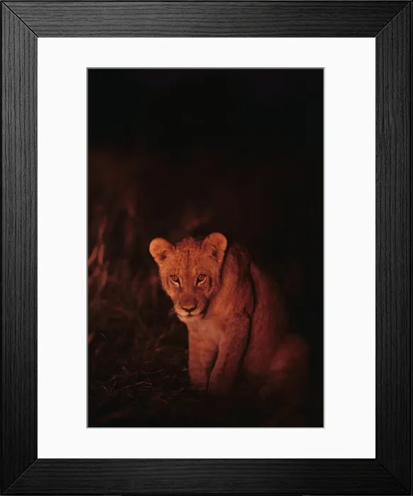 Framed Print : DDE-90019365 Framed Print : DDE-90019365