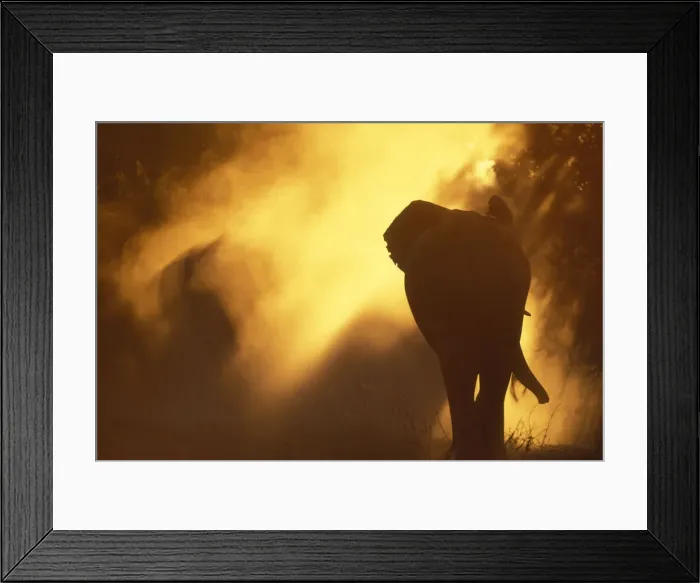 Framed Print : DDE-90019382 Framed Print : DDE-90019382
