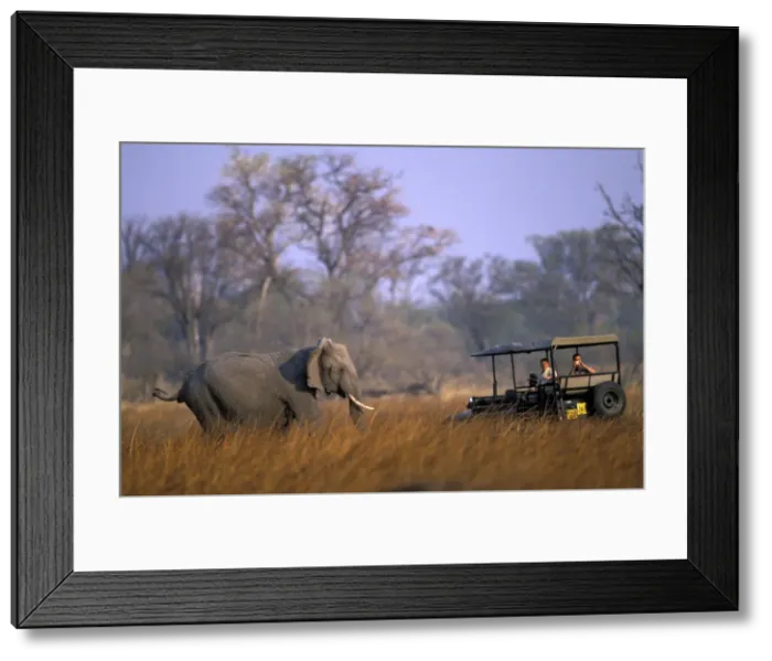 Framed Print : DDE-90019381 Framed Print : DDE-90019381