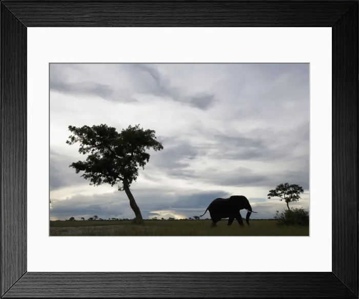Framed Print : DDE-90019389 Framed Print : DDE-90019389