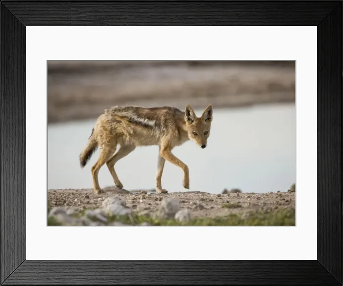 Framed Print : DDE-90019396 Framed Print : DDE-90019396