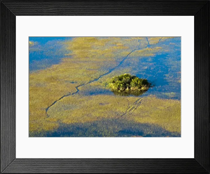 Framed Print : DDE-90019399