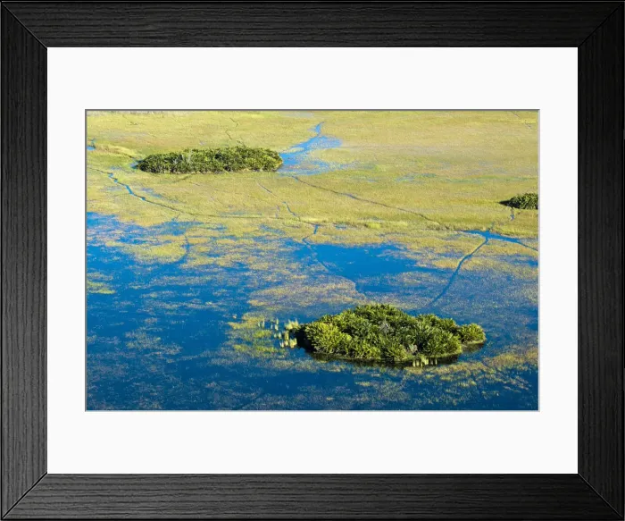 Framed Print : DDE-90019400
