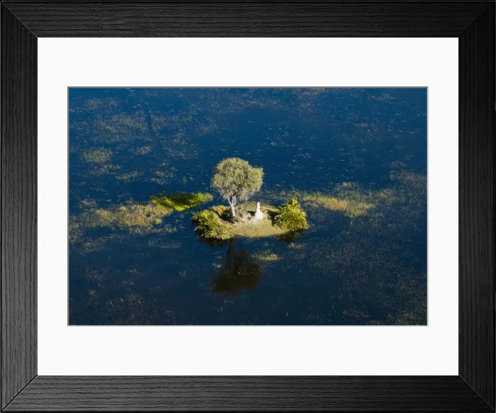 Framed Print : DDE-90019401 Framed Print : DDE-90019401