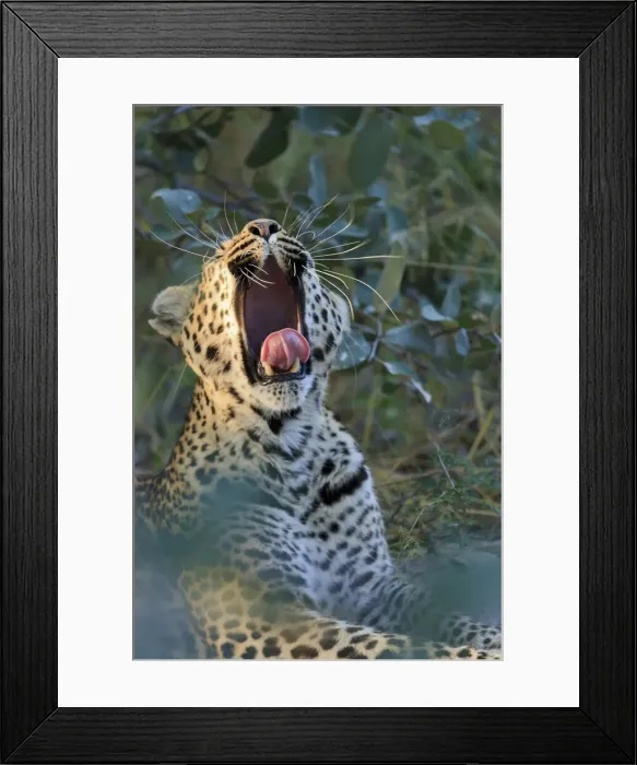 Framed Print : DDE-90019409 Framed Print : DDE-90019409
