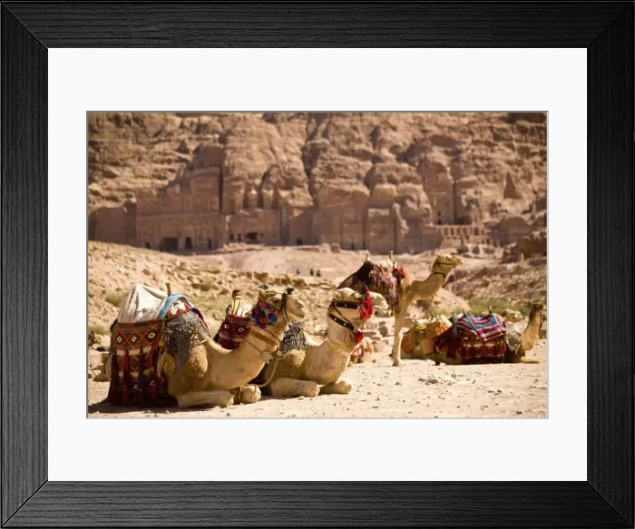Framed Print : DDE-90019434 Framed Print : DDE-90019434