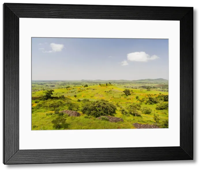 Framed Print : DDE-90019442 Framed Print : DDE-90019442