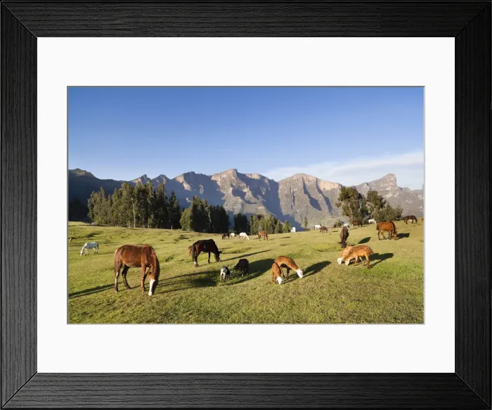 Framed Print : DDE-90019445 Framed Print : DDE-90019445