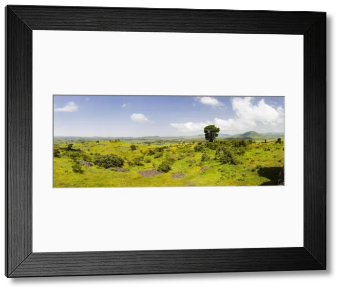 Framed Print : DDE-90019443 Framed Print : DDE-90019443