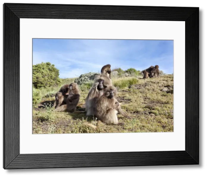 Framed Print : DDE-90019450 Framed Print : DDE-90019450