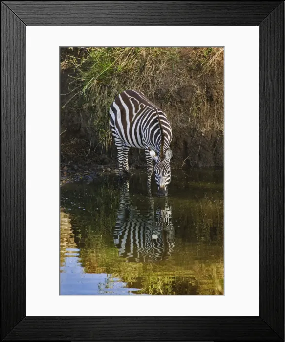 Framed Print : DDE-90019471 Framed Print : DDE-90019471
