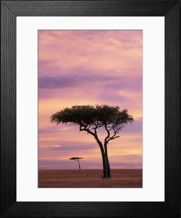 Framed Print : DDE-90019510 Framed Print : DDE-90019510