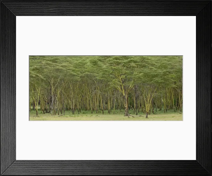 Framed Print : DDE-90019524 Framed Print : DDE-90019524