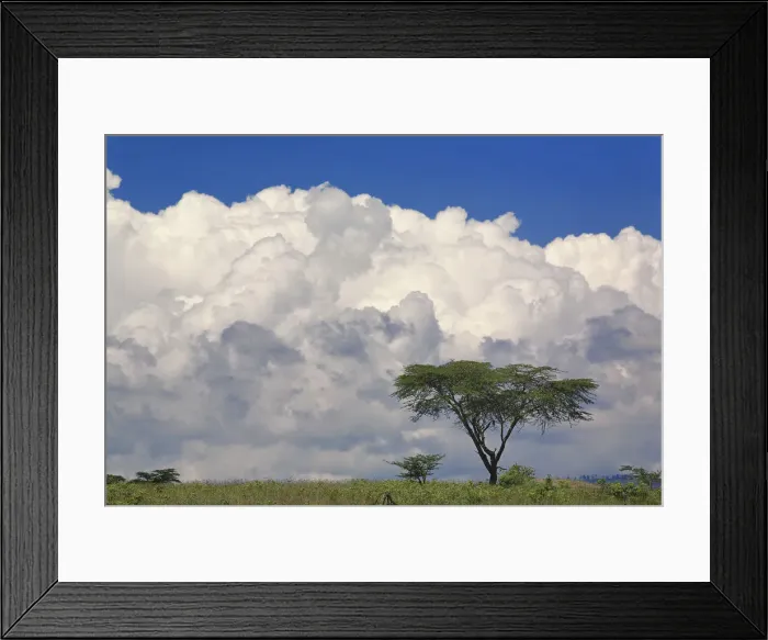 Framed Print : DDE-90019538 Framed Print : DDE-90019538
