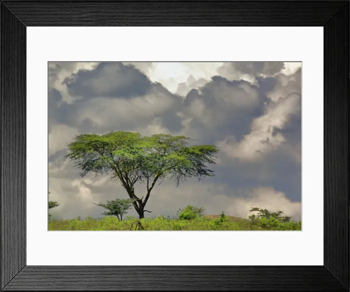 Framed Print : DDE-90019540 Framed Print : DDE-90019540
