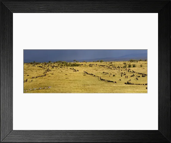 Framed Print : DDE-90019541 Framed Print : DDE-90019541