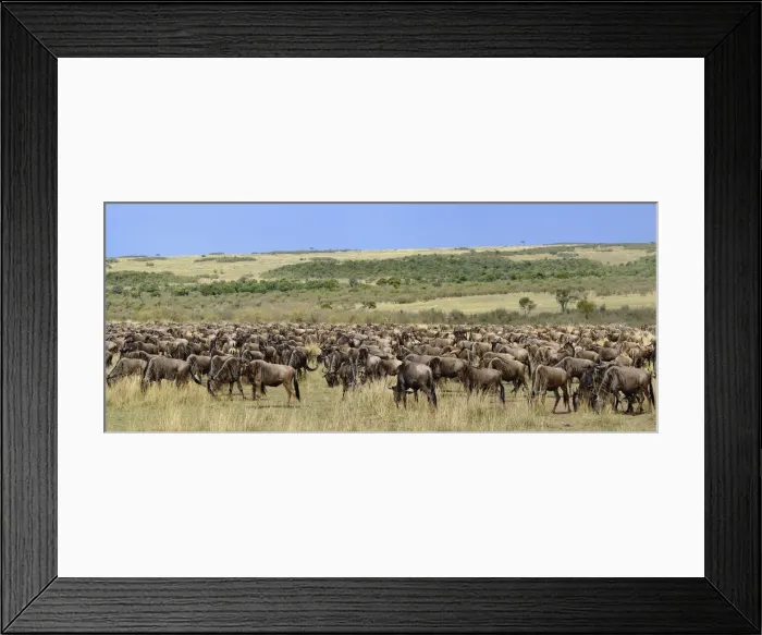Framed Print : DDE-90019544 Framed Print : DDE-90019544