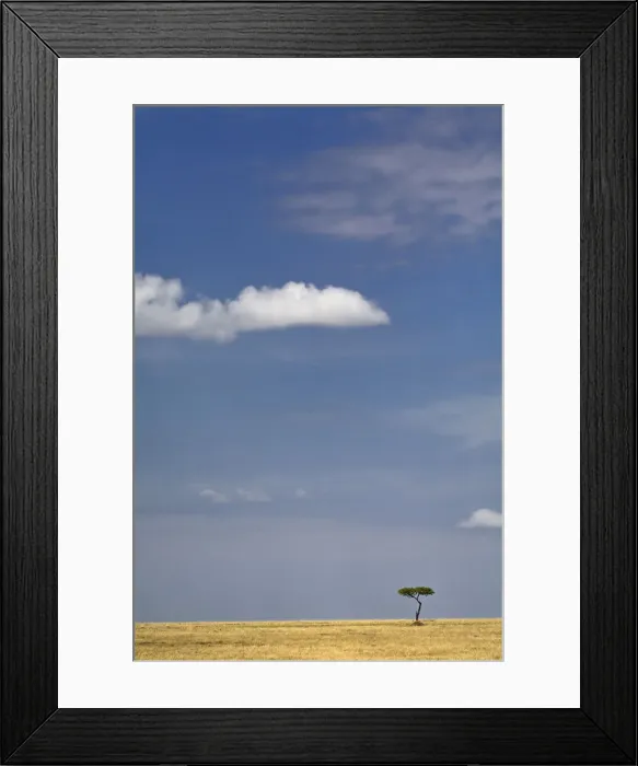 Framed Print : DDE-90019562 Framed Print : DDE-90019562