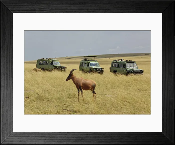 Framed Print : DDE-90019564 Framed Print : DDE-90019564