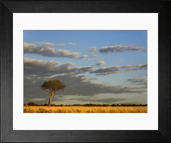 Framed Print : DDE-90019566