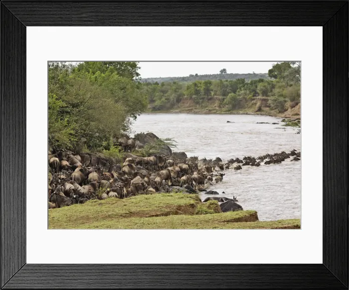 Framed Print : DDE-90019567 Framed Print : DDE-90019567
