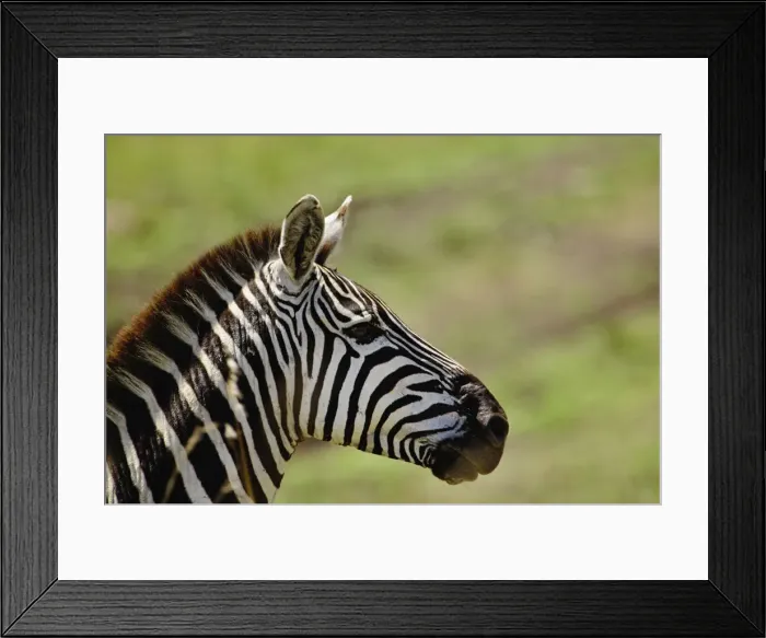 Framed Print : DDE-90019572 Framed Print : DDE-90019572