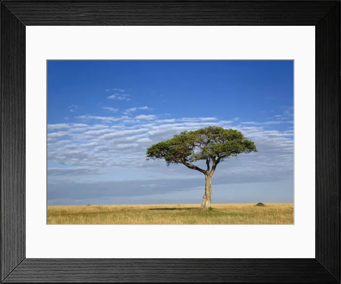 Framed Print : DDE-90019573