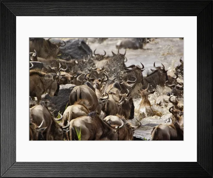 Framed Print : DDE-90019578 Framed Print : DDE-90019578