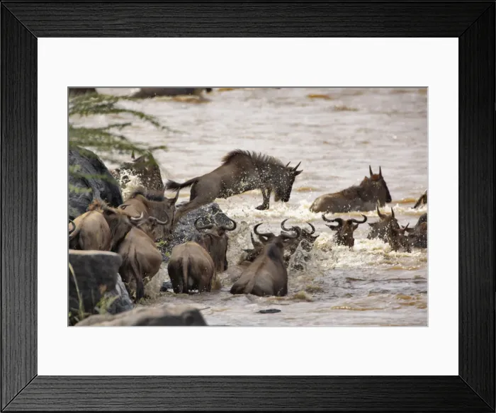 Framed Print : DDE-90019580 Framed Print : DDE-90019580