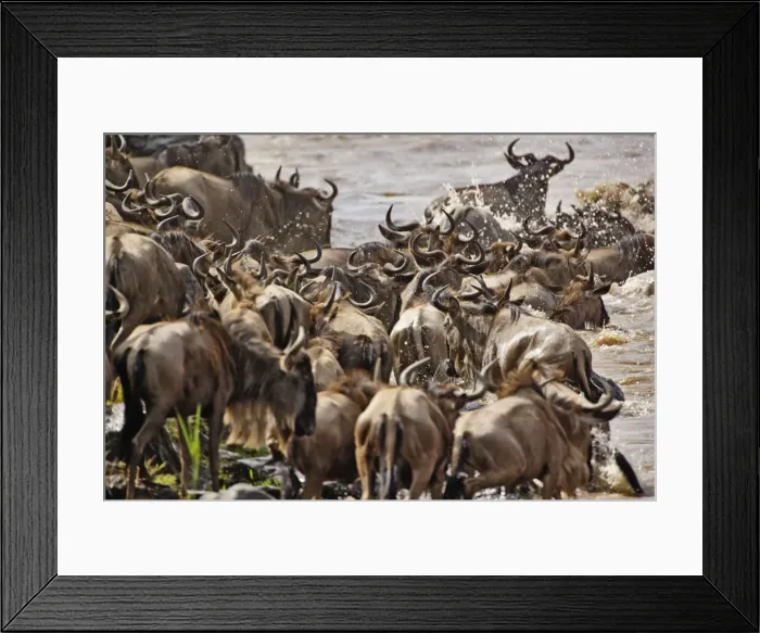 Framed Print : DDE-90019579 Framed Print : DDE-90019579
