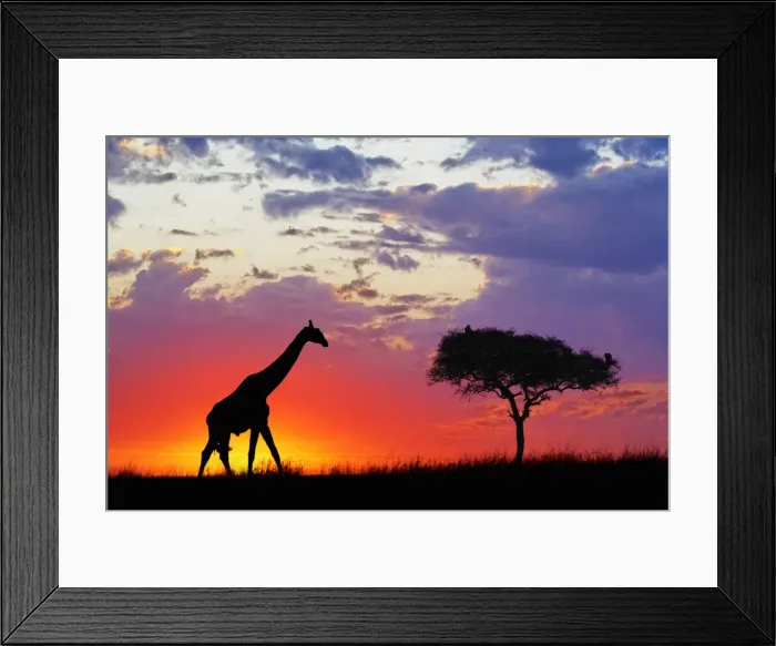Framed Print : DDE-90019585 Framed Print : DDE-90019585