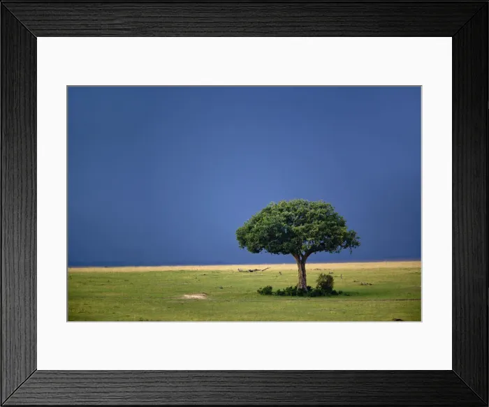 Framed Print : DDE-90019591 Framed Print : DDE-90019591