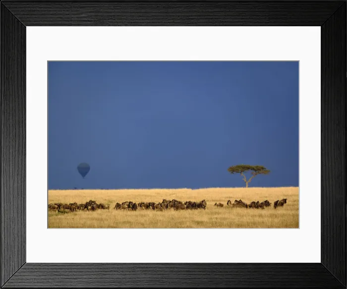 Framed Print : DDE-90019592 Framed Print : DDE-90019592