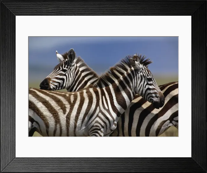 Framed Print : DDE-90019600 Framed Print : DDE-90019600