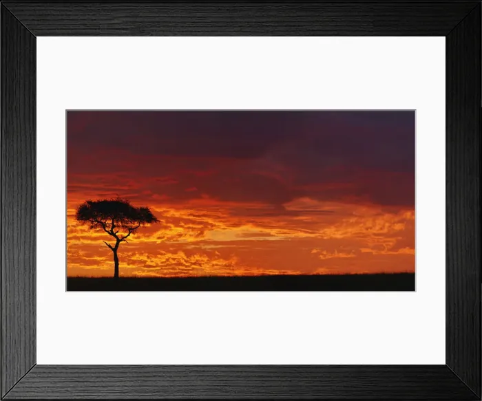 Framed Print : DDE-90019602 Framed Print : DDE-90019602