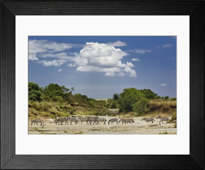 Framed Print : DDE-90019604 Framed Print : DDE-90019604