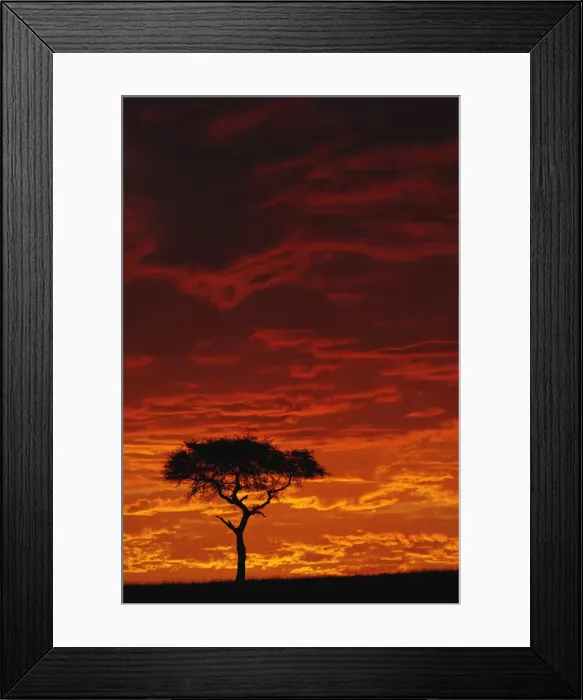 Framed Print : DDE-90019603 Framed Print : DDE-90019603