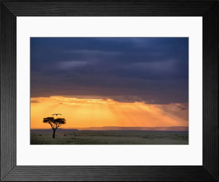 Framed Print : DDE-90019614 Framed Print : DDE-90019614