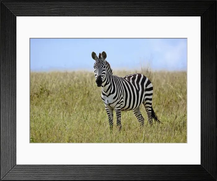 Framed Print : DDE-90019621 Framed Print : DDE-90019621