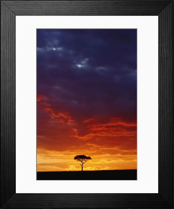 Framed Print : DDE-90019628 Framed Print : DDE-90019628