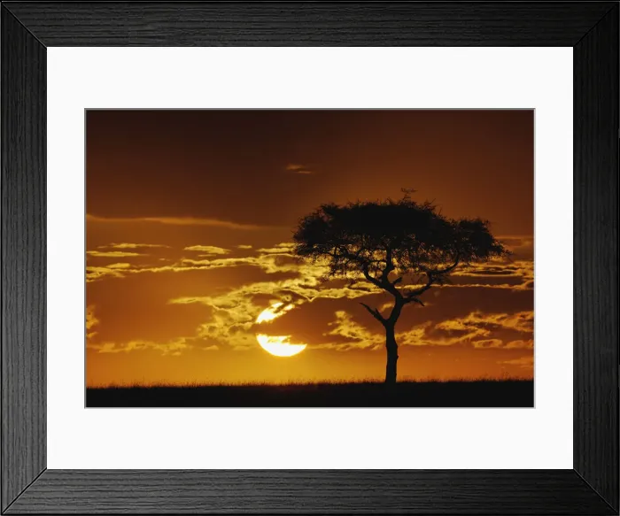 Framed Print : DDE-90019629 Framed Print : DDE-90019629