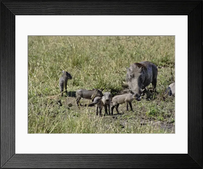 Framed Print : DDE-90019627 Framed Print : DDE-90019627