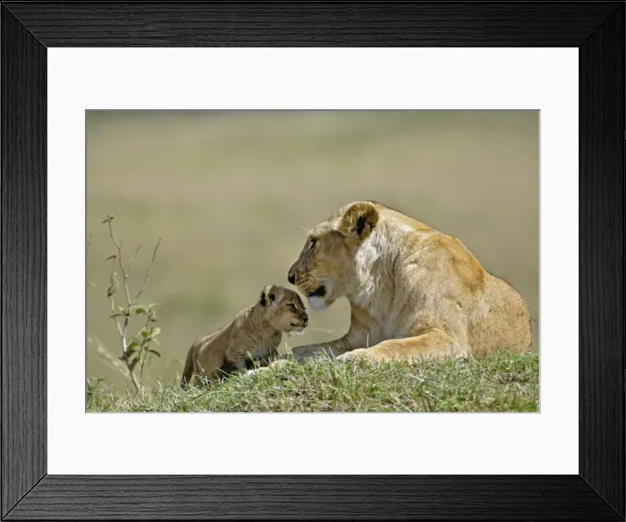 Framed Print : DDE-90019634