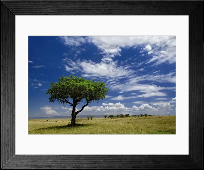 Framed Print : DDE-90019636 Framed Print : DDE-90019636