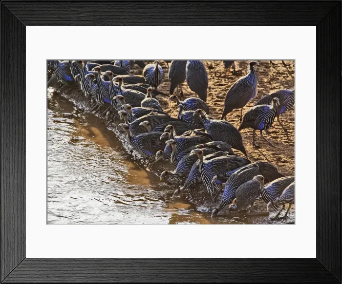 Framed Print : DDE-90019642 Framed Print : DDE-90019642