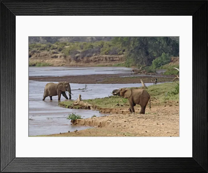 Framed Print : DDE-90019651 Framed Print : DDE-90019651