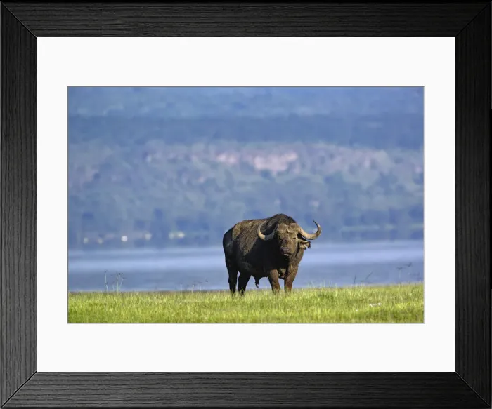 Framed Print : DDE-90019669 Framed Print : DDE-90019669