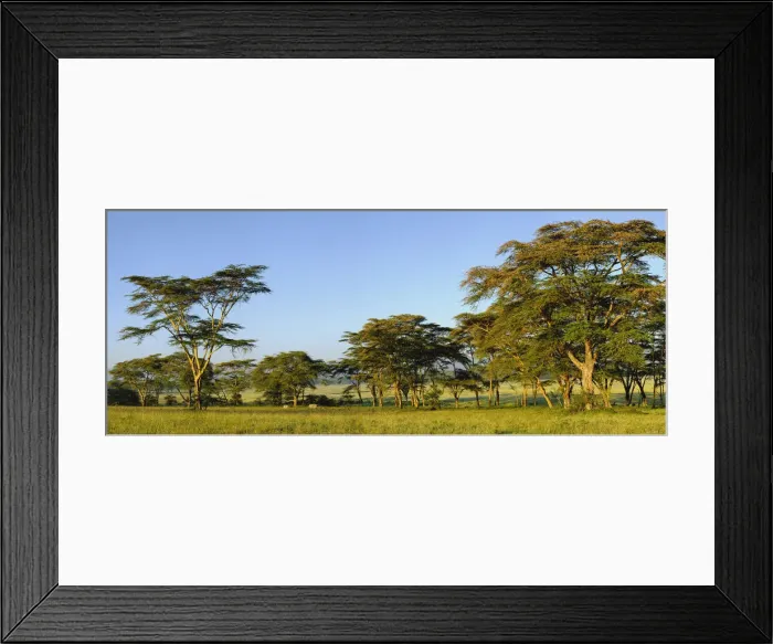 Framed Print : DDE-90019671 Framed Print : DDE-90019671