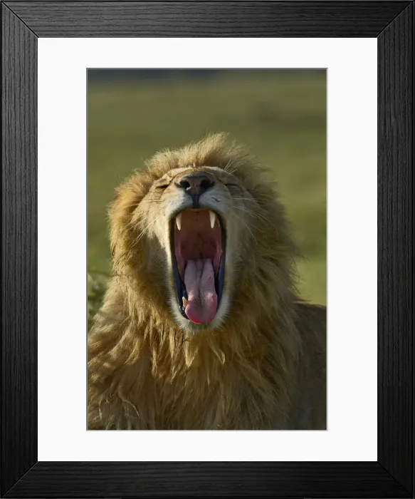 Framed Print : DDE-90019693 Framed Print : DDE-90019693
