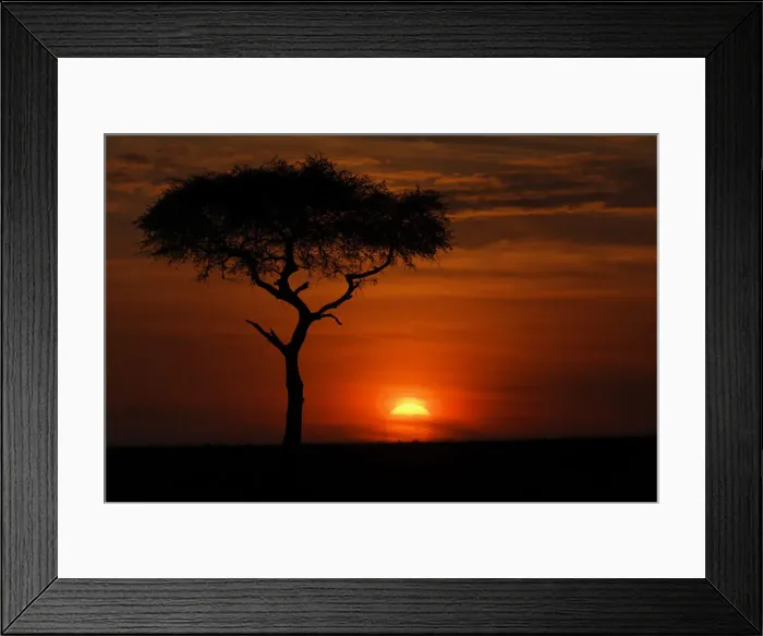 Framed Print : DDE-90019713 Framed Print : DDE-90019713